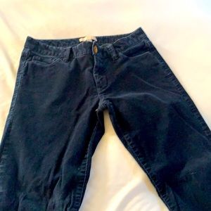 Dark blue corduroy pants